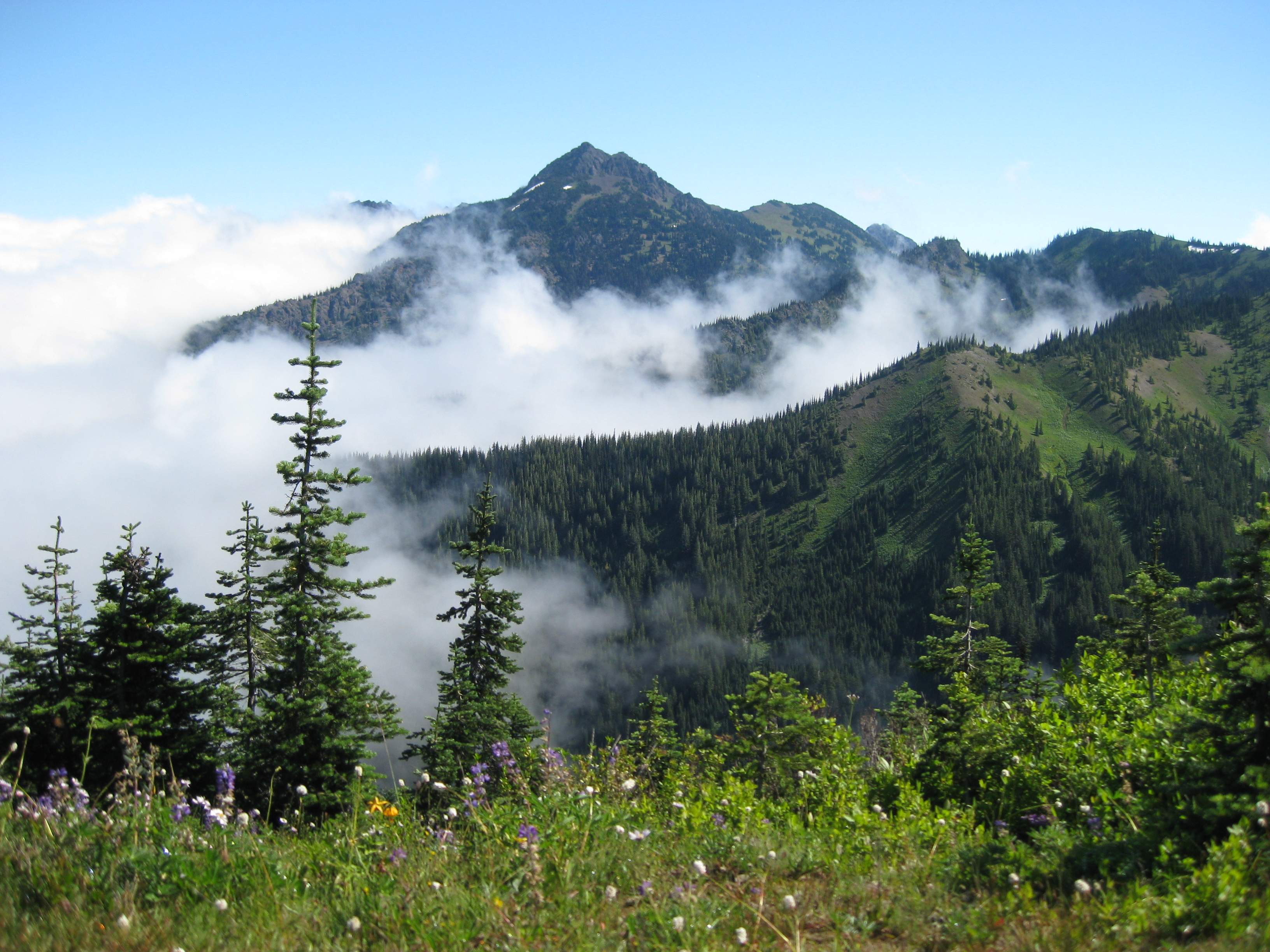 Olympic NP